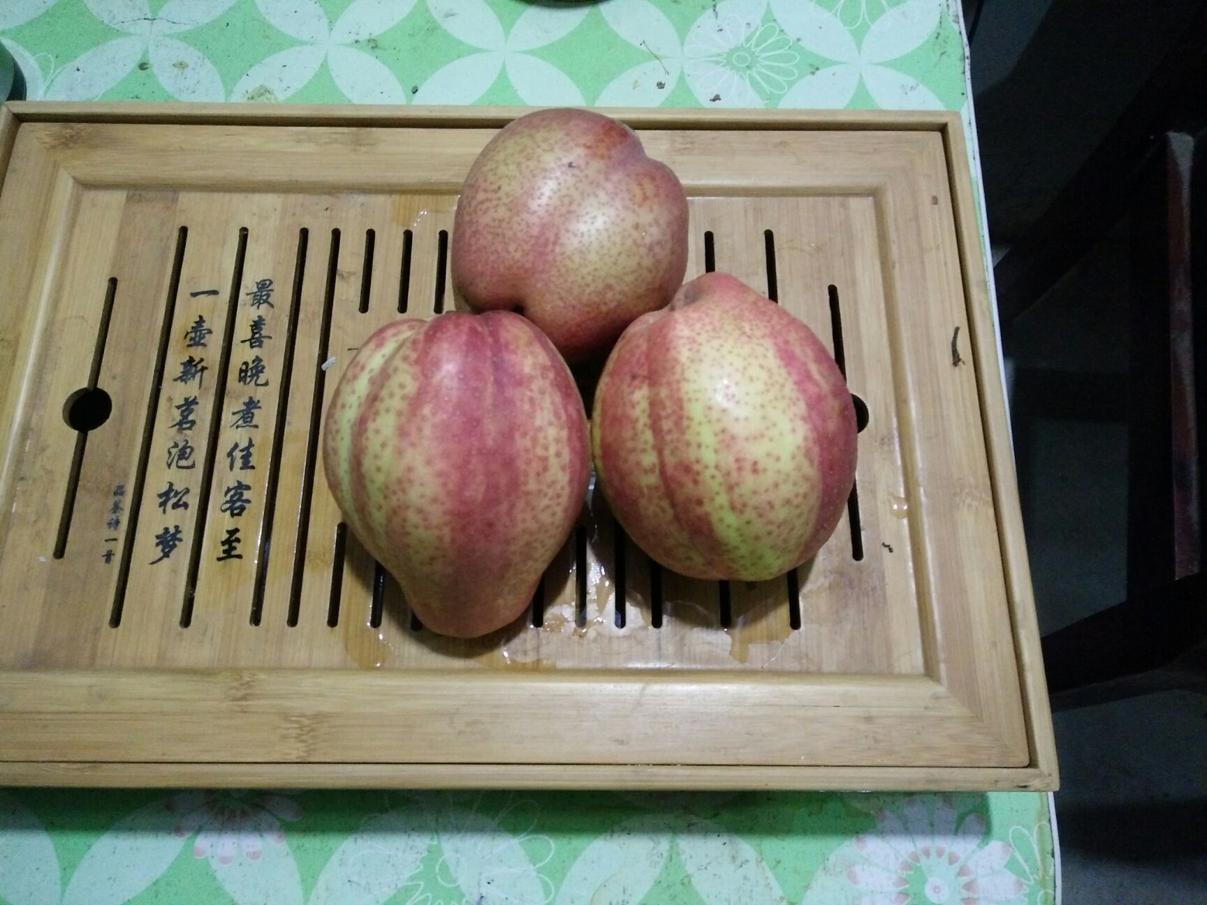 早酥红梨苗 0.5~1米